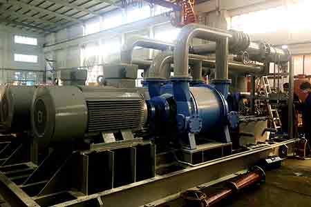 918博天堂液环泵机组香港黑角电厂使用现场